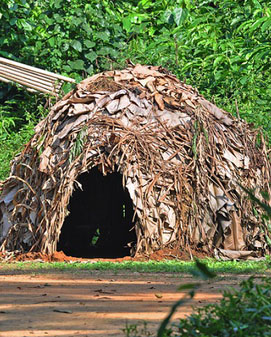 Atypique/Traditionnel